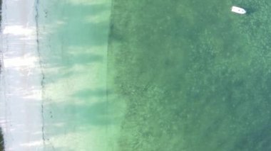 Tanzanya 'nın Zanzibar kıyısındaki okyanusun dikey videosu.