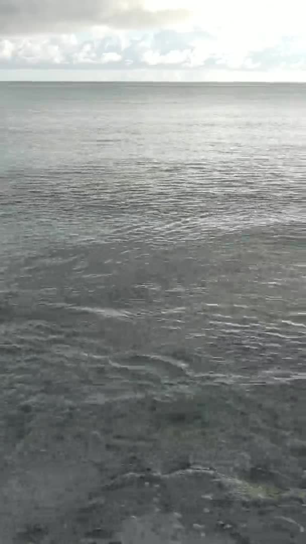 Vertikal video av havet nära kusten i Zanzibar, Tanzania, antenn vy — Stockvideo