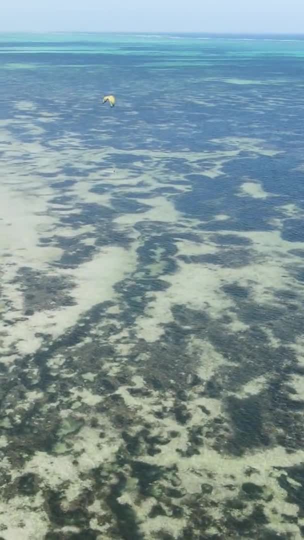 Vertical video of the ocean near the coast of Zanzibar, Tanzania, aerial view — Stock Video