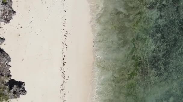 Vídeo vertical do oceano perto da costa de Zanzibar, Tanzânia, vista aérea — Vídeo de Stock