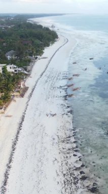 Tanzanya 'nın Zanzibar kıyısındaki okyanusun dikey videosu.