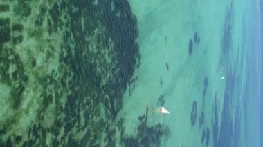 Tanzanya 'nın Zanzibar kıyısındaki okyanusun dikey videosu.