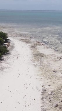 Tanzanya 'nın Zanzibar kıyısındaki okyanusun dikey videosu.