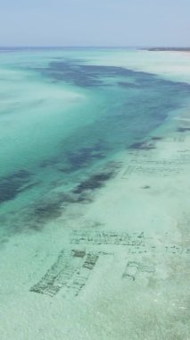 Tanzanya 'nın Zanzibar kıyısındaki okyanusun dikey videosu.