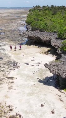 Tanzanya 'nın Zanzibar kıyısındaki okyanusun dikey videosu.