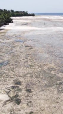 Tanzanya 'nın Zanzibar kıyısındaki okyanusun dikey videosu.