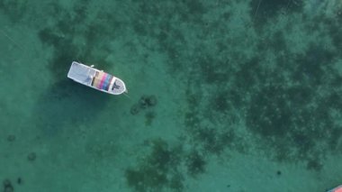Tanzanya 'nın Zanzibar kıyısındaki okyanusun dikey videosu.