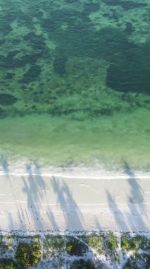 Tanzanya 'nın Zanzibar kıyısındaki okyanusun dikey videosu.