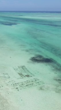 Tanzanya 'nın Zanzibar kıyısındaki okyanusun dikey videosu.