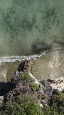 Tanzanya 'nın Zanzibar kıyısındaki okyanusun dikey videosu.