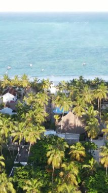 Tanzanya 'nın Zanzibar kıyısındaki okyanusun dikey videosu.
