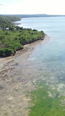 Tanzanya 'nın Zanzibar kıyısındaki okyanusun dikey videosu.