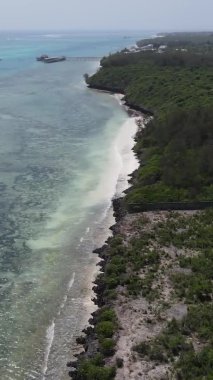 Tanzanya 'nın Zanzibar kıyısındaki okyanusun dikey videosu.