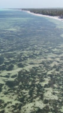 Tanzanya 'nın Zanzibar kıyısındaki okyanusun dikey videosu.