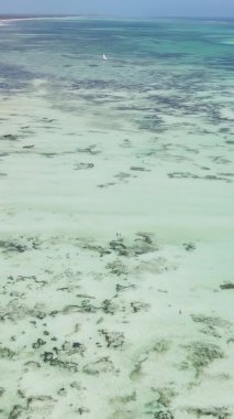 Tanzanya 'nın Zanzibar kıyısındaki okyanusun dikey videosu.