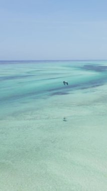 Tanzanya 'nın Zanzibar kıyısındaki okyanusun dikey videosu.