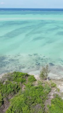Tanzanya 'nın Zanzibar kıyısındaki okyanusun dikey videosu.