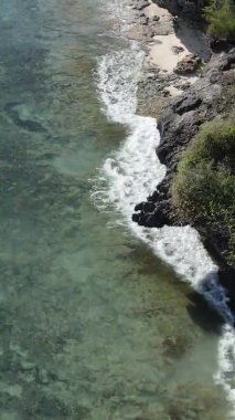 Tanzanya 'nın Zanzibar kıyısındaki okyanusun dikey videosu.