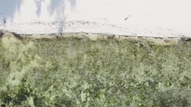 Tanzanya 'nın Zanzibar kıyısındaki okyanusun dikey videosu.