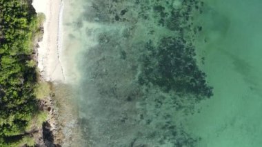 Tanzanya 'nın Zanzibar kıyısındaki okyanusun dikey videosu.
