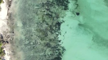 Tanzanya 'nın Zanzibar kıyısındaki okyanusun dikey videosu.