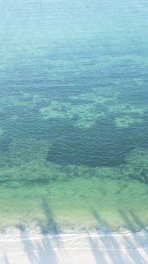Tanzanya 'nın Zanzibar kıyısındaki okyanusun dikey videosu.