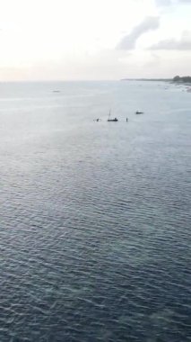 Tanzanya 'nın Zanzibar kıyısındaki okyanusun dikey videosu.