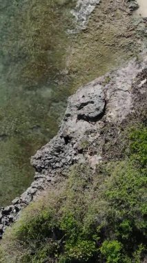 Tanzanya 'nın Zanzibar kıyısındaki okyanusun dikey videosu.