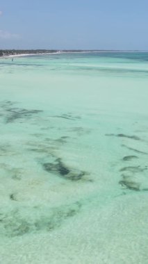 Tanzanya 'nın Zanzibar kıyısındaki okyanusun dikey videosu.