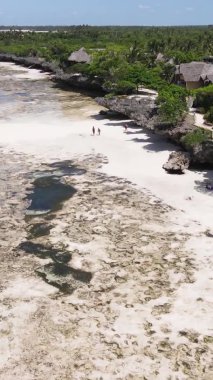 Tanzanya 'nın Zanzibar kıyısındaki okyanusun dikey videosu.