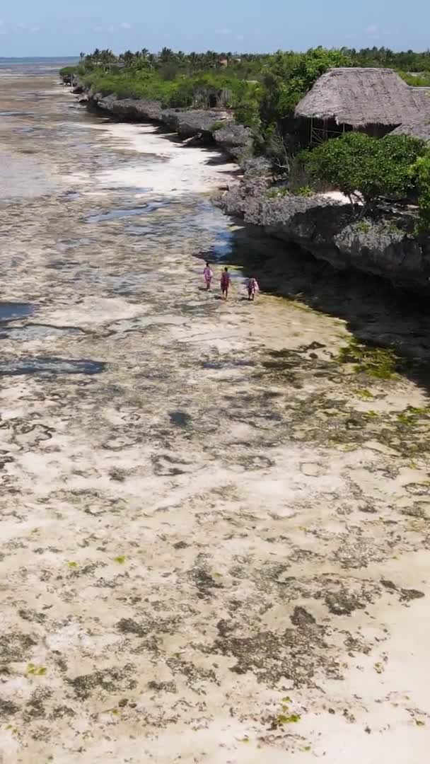 Pionowe wideo oceanu w pobliżu wybrzeża Zanzibaru, Tanzania, widok z lotu ptaka — Wideo stockowe