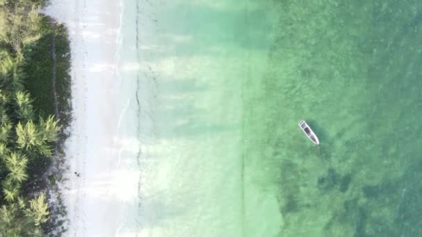 Vídeo vertical do oceano perto da costa de Zanzibar, Tanzânia, vista aérea — Vídeo de Stock