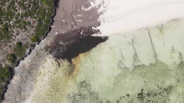 Vertical video of the ocean near the coast of Zanzibar, Tanzania, aerial view — Stock Video