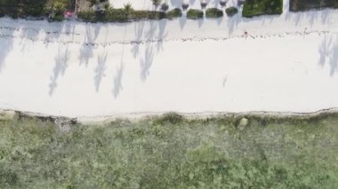 Tanzanya 'nın Zanzibar kıyısındaki okyanusun dikey videosu.