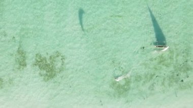 Tanzanya 'nın Zanzibar adasının dikey videosu, yavaş çekim