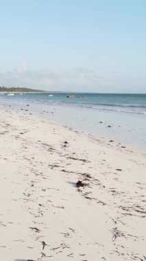 Tanzanya 'nın Zanzibar adasının dikey videosu, yavaş çekim
