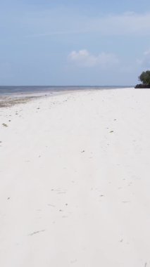 Tanzanya 'nın Zanzibar adasının dikey videosu, yavaş çekim