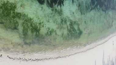 Tanzanya 'nın Zanzibar adasının dikey videosu, yavaş çekim