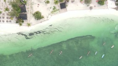 Tanzanya 'nın Zanzibar adasının dikey videosu, yavaş çekim