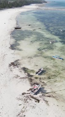 Tanzanya 'nın Zanzibar adasının dikey videosu, yavaş çekim