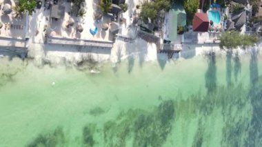 Tanzanya 'nın Zanzibar adasının dikey videosu, yavaş çekim