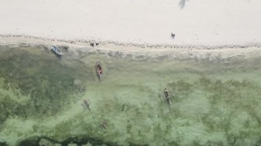 Tanzanya 'nın Zanzibar adasının dikey videosu, yavaş çekim