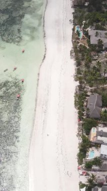 Tanzanya 'nın Zanzibar adasının dikey videosu, yavaş çekim