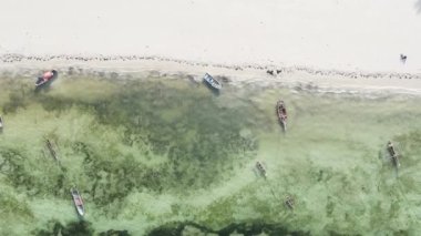 Tanzanya 'nın Zanzibar adasının dikey videosu, yavaş çekim
