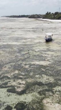 Tanzanya 'nın Zanzibar adasının dikey videosu, yavaş çekim