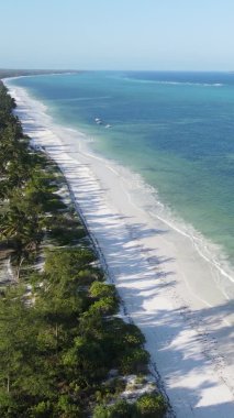 Tanzanya 'nın Zanzibar adasının dikey videosu, yavaş çekim