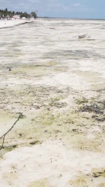 Tanzanya 'nın Zanzibar adasının dikey videosu, yavaş çekim