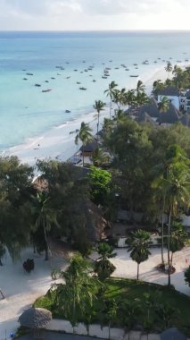 Tanzanya 'nın Zanzibar adasının dikey videosu, yavaş çekim