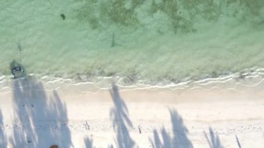 Tanzanya 'nın Zanzibar adasının dikey videosu, yavaş çekim