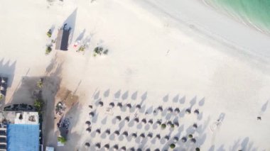 Tanzanya 'nın Zanzibar adasının dikey videosu, yavaş çekim